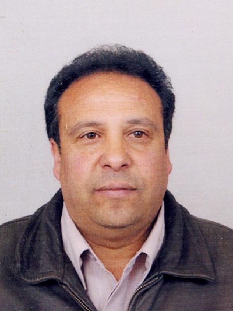 Ivo Zarkov